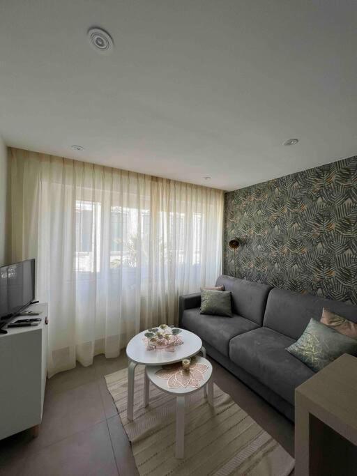Appartement Superbe 2 Pieces, Equipe Centre De Cannes.